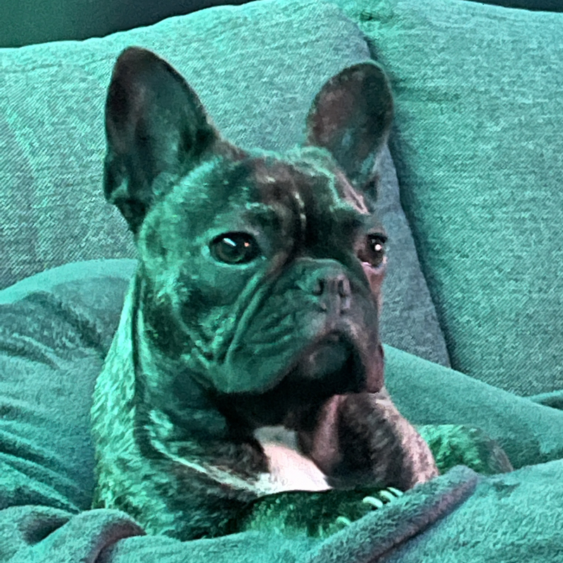 Profiel foto