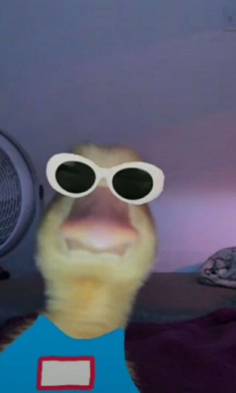 Profiel foto