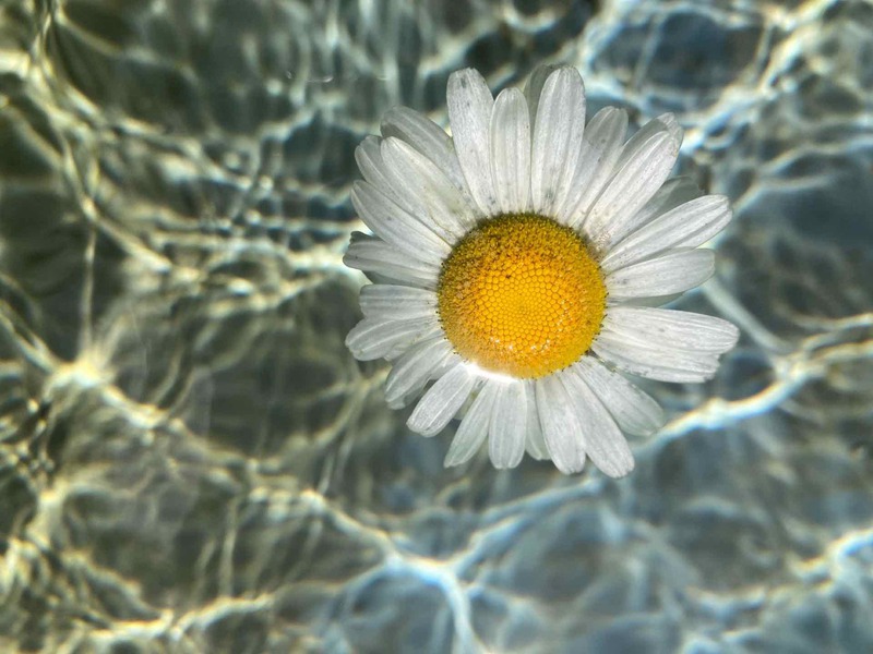 Profiel foto
