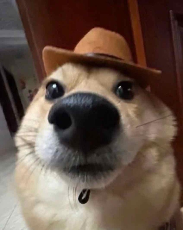 Profiel foto
