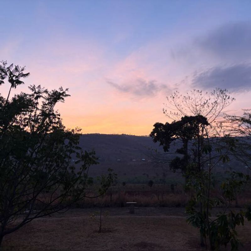 Profiel foto